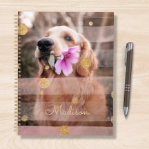 Hunde Foto Rosa Ribbon Chic Goldener Glitzer Name