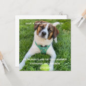 Hunde Foto Save the Date Verlobung Karte (Vorderseite/Rückseite Beispiel)