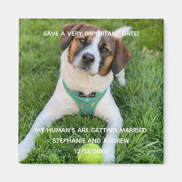 Hunde Foto Save the Date Verlobung Karte Magnet