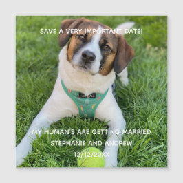 Hunde Foto Save the Date Verlobung Kartenmagazin Magnetkarte