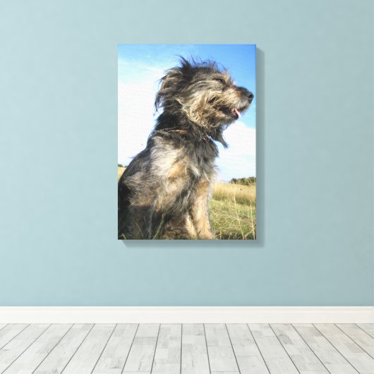 Hunde Foto Single Leinwanddruck (Insitu (Holzboden))