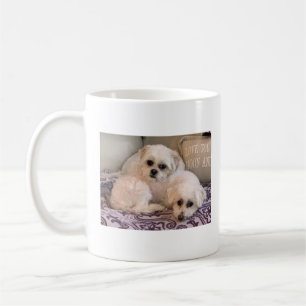 Hunde Foto Süße Malteser und Shih Tzu Kaffeetasse