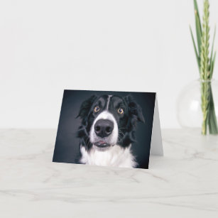 Hunde-Foto-Valentinstag von Hundebonat Feiertagskarte