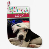 Hunde Foto Wasserfarben Kleiner Weihnachtsstrumpf (Vorderseite)