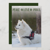 Hunde Foto Weihnachtsflachkarte (Vorne/Hinten)
