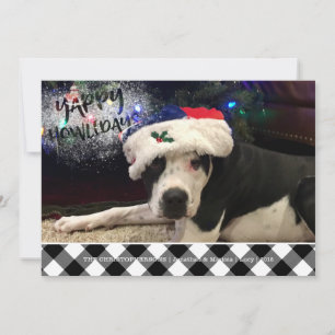 Hunde-Foto YAPPY HOWLIDAYS B&W Büffel-Karo Feiertagskarte