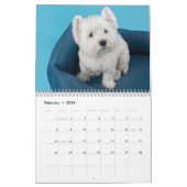 Hunde FotoCollage Modern 2025 Kalender (Feb 2026)