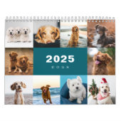 Hunde FotoCollage Modern 2025 Kalender (Titelbild)