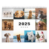 Hunde FotoCollage Modern 2025 Kalender (Titelbild)