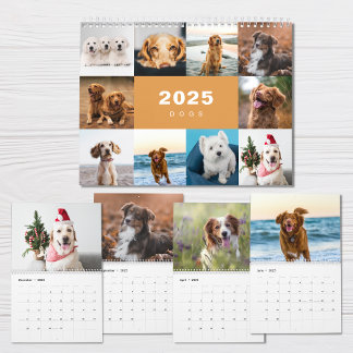 Hunde FotoCollage Modern 2025 Kalender