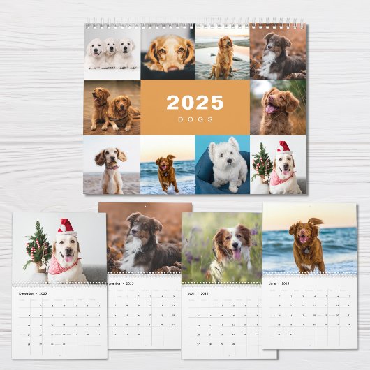 Hunde FotoCollage Modern 2025 Kalender