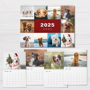 Hunde FotoCollage Modern 2025 Kalender