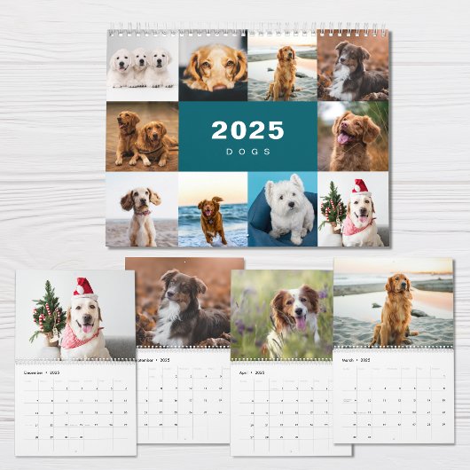 Hunde FotoCollage Modern 2025 Kalender