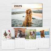 Hunde FotoCollage Modern 2025 Kalender