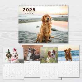 Hunde FotoCollage Modern 2025 Kalender