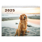 Hunde FotoCollage Modern 2025 Kalender (Titelbild)