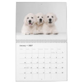 Hunde FotoCollage Modern 2025 Kalender (Jan 2027)