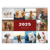 Hunde FotoCollage Modern 2025 Kalender (Titelbild)