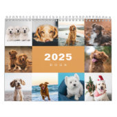 Hunde FotoCollage Modern 2025 Kalender (Titelbild)