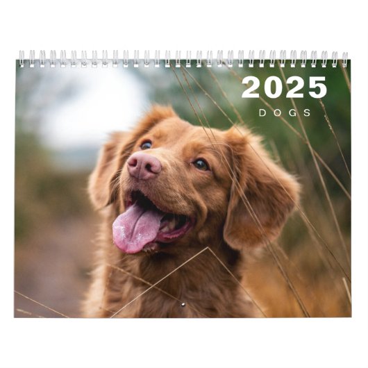 Hunde FotoCollage Modern 2025 Kalender (Titelbild)