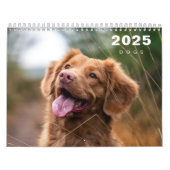 Hunde FotoCollage Modern 2025 Kalender (Titelbild)