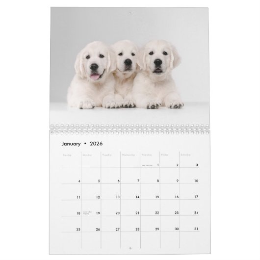 Hunde FotoCollage Modern 2025 Kalender (Jan 2026)
