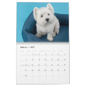 Hunde FotoCollage Modern 2025 Kalender (Feb 2027)