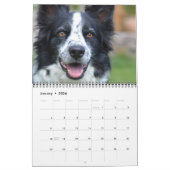 Hunde FotoCollage Personalisiert Moderne 2026 Kalender (Jan 2026)