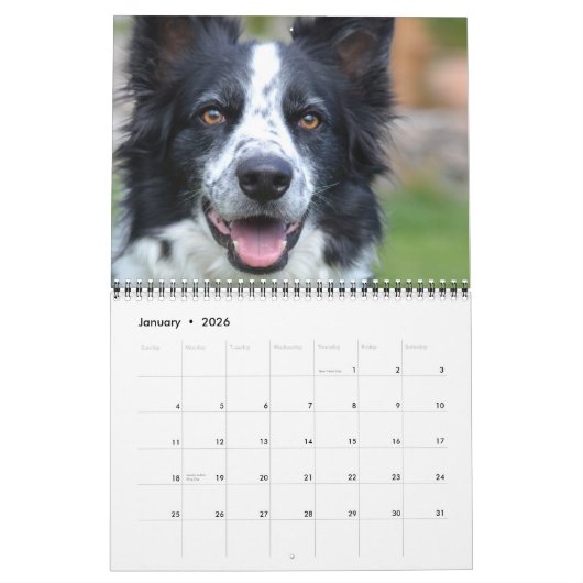 Hunde FotoCollage Personalisiert Moderne 2026 Kalender (Jan 2026)