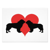 Hunde Fotodruck (Vorne)