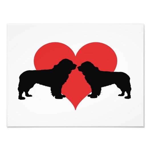 Hunde Fotodruck (Vorne)