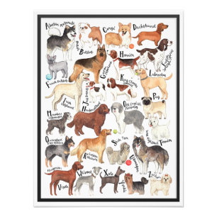 Hunde Fotodruck