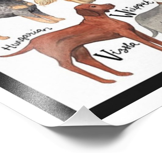 Hunde Fotodruck (Ecke)