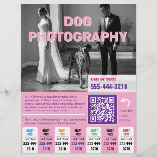 Hunde-Fotograf Flyer farbenfroh