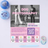 Hunde-Fotograf Flyer farbenfroh (Einzeln)