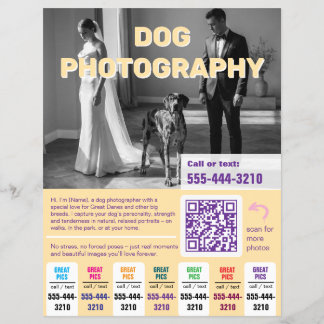 Hunde-Fotograf Flyer farbenfroh gelb