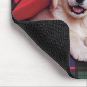 Hunde-Fotografiekarten, Geschenke - Anpassen Mousepad (Ecke)