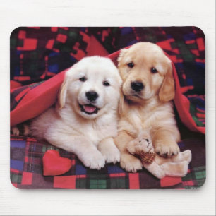 Hunde-Fotografiekarten, Geschenke - Anpassen Mousepad