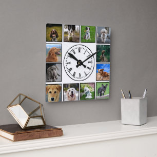 Hunde-Fotos sammeln sich auf weißem Hintergrund Quadratische Wanduhr
