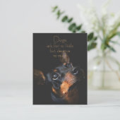 Hunde Fragte für so klein / Doberman Pinscher Postkarte (Stehend Vorderseite)