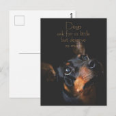 Hunde Fragte für so klein / Doberman Pinscher Postkarte (Vorne/Hinten)