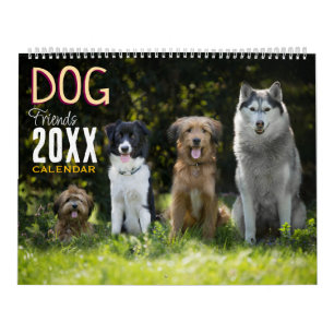 Hunde Freunde 2027 Tiere Wand Kalender