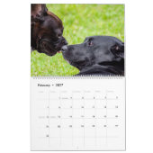 Hunde-Freunde-Wandkalender 2027 Tiere Kalender (Feb 2027)