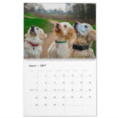 Hunde-Freunde-Wandkalender 2027 Tiere Kalender (Mär 2027)
