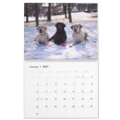 Hunde-Freunde-Wandkalender 2027 Tiere Kalender (Jan 2027)