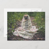 Hunde fühlen die Kälte Postkarte (Vorne/Hinten)