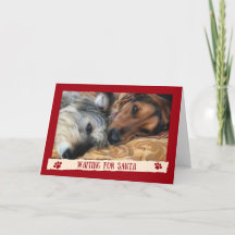 Hunde für den Weihnachtsmann - Funny Card von den 