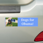 Hunde für Obama! Autoaufkleber (Auf Auto)