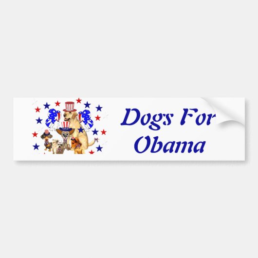 HUNDE FÜR OBAMA AUTOAUFKLEBER (Vorne)