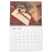 Hunde für Obama-Kalender Kalender (Feb 2026)